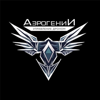 Логотип @aerogenii - АэрогениИ | школа операторов дронов