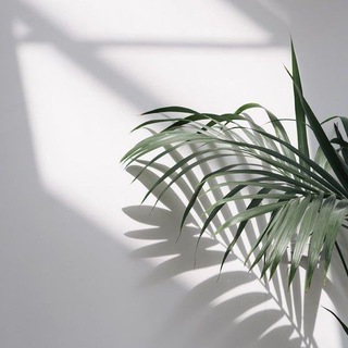 Логотип @aestetic08 - a e s t e t i c