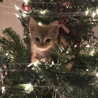 Логотип @aestheticchatt - Чатик♡︎