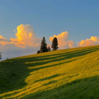 Логотип @aesthetics_neptune - aesthetics neptune🇺🇦