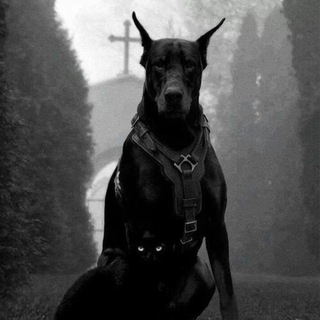 Логотип @aesthetics_roo_m - Aesthetics room