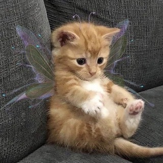 Логотип @aesthetics_room_m - для твоих историй