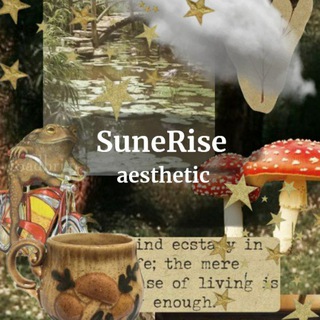 Логотип @aesthetics_sunerise - 🍄ᴀᴇsᴛʜᴇᴛɪᴄs sᴜɴᴇʀɪsᴇ🍄 🍄гобли