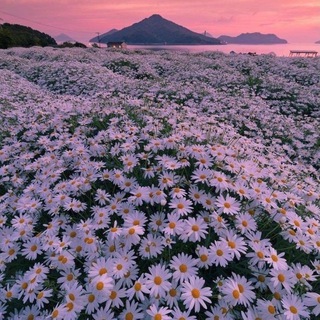 Логотип @aestheticsss_room - эстетика | сохраненки | советы