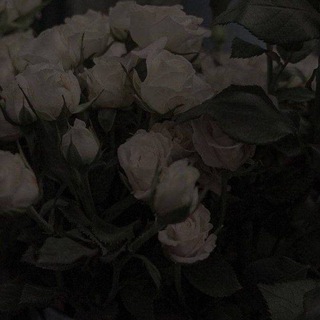 Логотип @affirmatsiadlyateby - Искусство быть собой🥰🌷