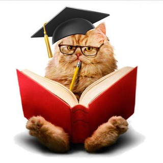 Логотип @aforizmomm - Афоризмом по лицу