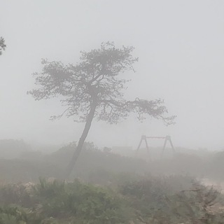 Логотип @afreaqan - Африка+