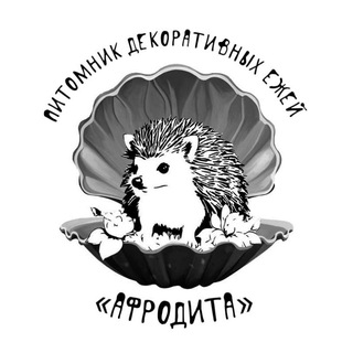 Логотип @afrodita_hedgehogs - Питомник Афродита🦔