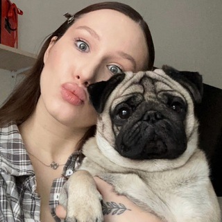 Логотип @agafonovachat - Бред сивой кобылы Chat