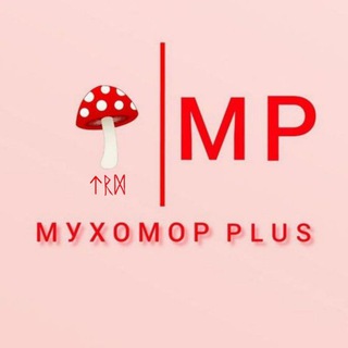 Логотип @agaricplus - Мухомор plus🍄