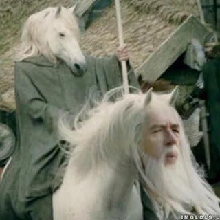 Логотип @agatha_live_atack_on_titan - 🍁🏇Дневник гуся-конника🍁🏇