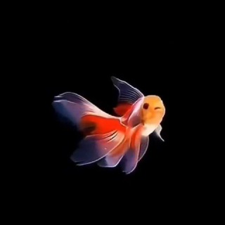Логотип @agi_4u - ℍ𝕖ũ𝕡𝕠𝕄ы 🫥