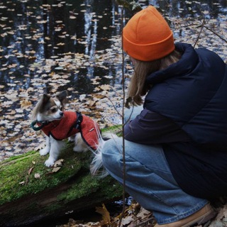 Логотип @agiamigos - Amigo’s life