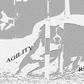Логотип @agilityrus - AGILITY RUS