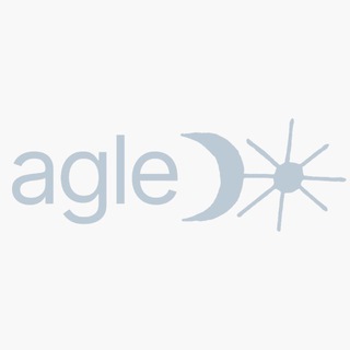 Логотип @agle_store - ГлавРеды Agle