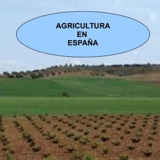 Логотип @agricultura_espagnola - 🥇 Agricultura Española 🇪🇸