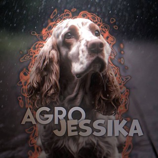 Логотип @agro_jessika0 - ᯓ𝗔𝗴𝗿𝗼 𝗝𝗲𝘀𝘀𝗶𝗸𝗮ᯓ