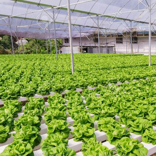 Логотип @agrodunyomarkaziadm - Agro Dunyo Markazi