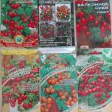 Логотип @agrofit - Экологический и медицинский фитодизайн. ИС в Life sciences.
