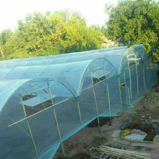Логотип @agroissiqxona - AGRO ISSIQ XONA