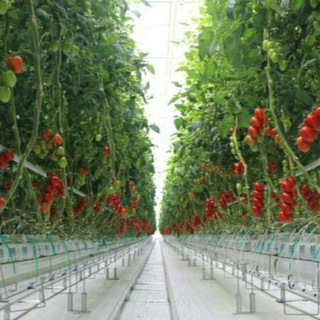 Логотип @agromarket11 - ..