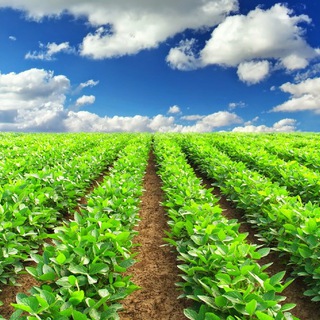 Логотип @agroukrboard - Agro Ukraine