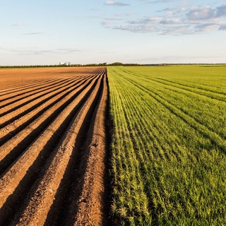 Логотип @agrozemlya - Земля сельхозназначения / Агропредприятия / Сельхозтехника