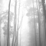 Логотип @agvanren - агван рен