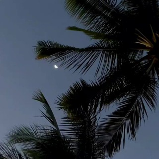 Логотип @ahad_al_ikhva - أحد الإخوة