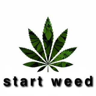 Логотип @ahhagaibwvevwhje - קהילה ראשית - StartWeed