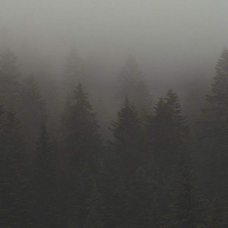 Логотип @ahiratlife - Silent