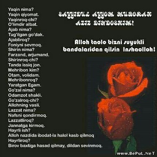 Логотип @ahliilm12 - AHLI MUSILMO