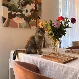 Логотип @ahuytno - Уютиль - интересные находки с AliExpress для создания уюта😊