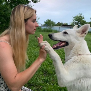 Логотип @aibolit_1_0 - 💉Заметки ветеринарного врача 💩