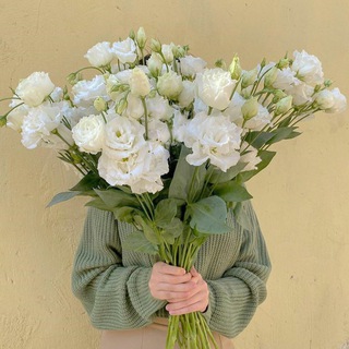 Логотип @aidkinkanal - Записки шпрота🤪