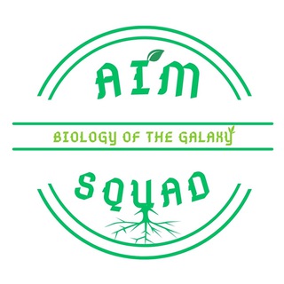 Логотип @aimsquad - AIM Squad (quizlet)