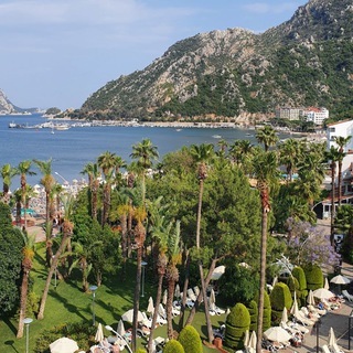 Логотип @air_sadovod - Садовод