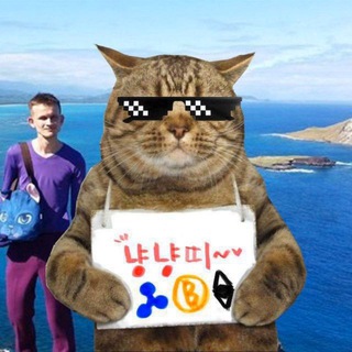 Логотип @airdrop_cat_chat - 냥냥띠 뒷골목 채팅방 🐈