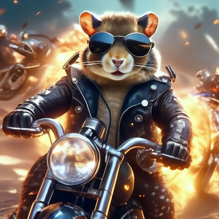 Логотип @airdropsplan - Hamsters🐹
