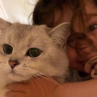 Логотип @aishlaaaa777 - A'