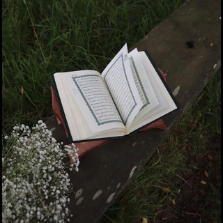 Логотип @aitenhabibi - Habibi🍃