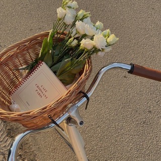 Логотип @aiyasthoughts - pier🌊