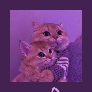 Логотип @ajoyib_dostlarde - AᴊOʏIB ᴅOsTLᴀR🖤