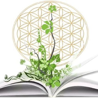 Логотип @akachp - Christina Pedetta