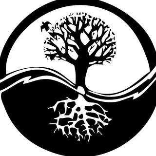 Логотип @akavedwis - АКАДЕМИЯ ВЕДИЧЕСКОЙ МУДРОСТИ