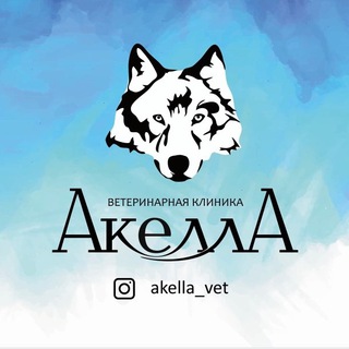 Логотип @akella_vet - Akella_vet
