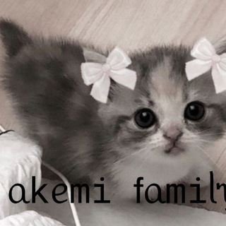 Логотип @akemitop - 𝚆𝐢𝚡𝚢𝚢𝚢 𝖿ᥲmіᥣᥡ 💘