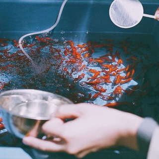 Логотип @akira_kura_komments - админ куросавы 🪲🪩💧