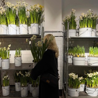 Логотип @akmallau - Akma