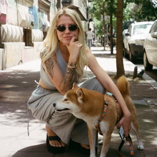 Логотип @akoolqa - Akoolqa на месте 🍑